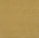 Toast