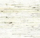 Ivory Birch