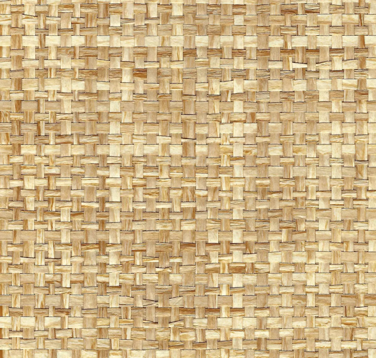 Main