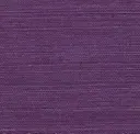 Royal Plum