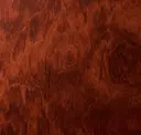 Wg-364 Bubinga