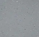 Dominant Gray