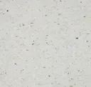 Ermine White