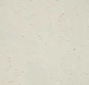 Glorious Beige