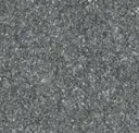 Asparagus 537