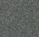 Beluga 536