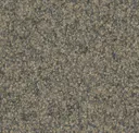 Tamarind 532