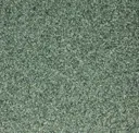 Tundra 749