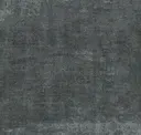 Stone Crazy