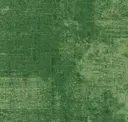 Being Green