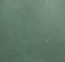 Peacock 3698