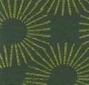 Kelp
