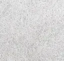 White 101