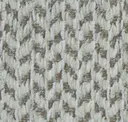 Snow Owl