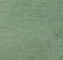 Eucalyptus