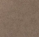 Clay 210