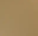Cashew