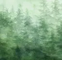 Epic Forest - Emerald