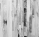Black And White