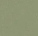 Nu594 Grün
