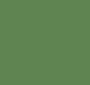 Pg545 Grün