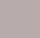 Pg843 Beige