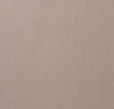 Te60 Braun
