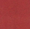Salsa