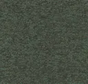 Loden
