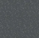 Star Gazing