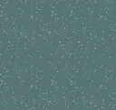 County Fair