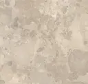 Tortora