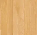 Golden Maple
