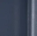 Col. 20710