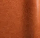 Col. Arabesque
