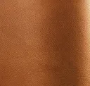 Col. 11020
