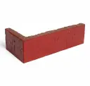 Radish