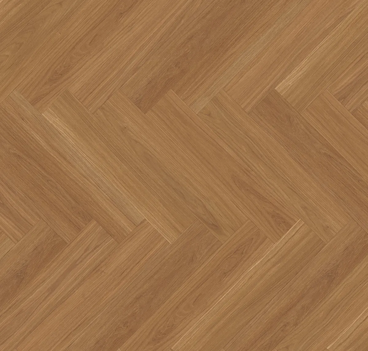 Main