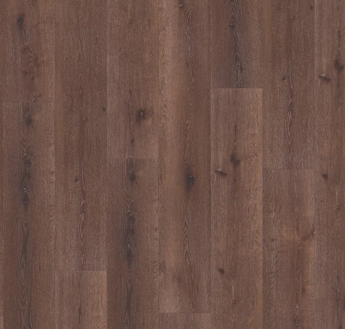 Main