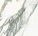 Calacatta Green