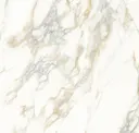 Calacatta Gold