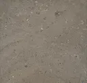 Antracite