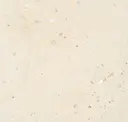 Avorio