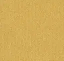 204
