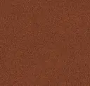 Clay