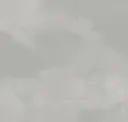 Mist
