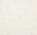 Moon Dust
