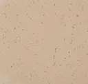 Terra Nera