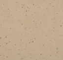 Shedded Ground