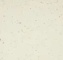 Ivory Dust